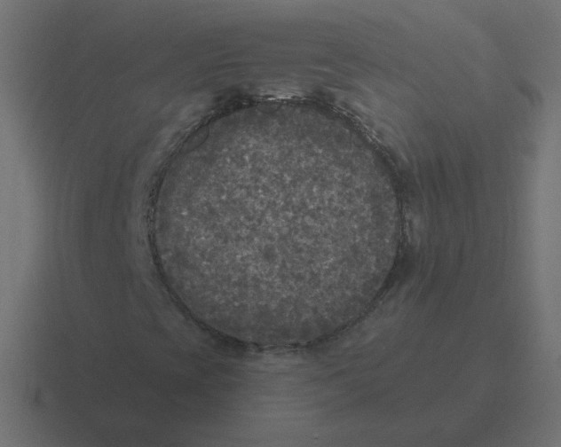 X0000116431393200912291859