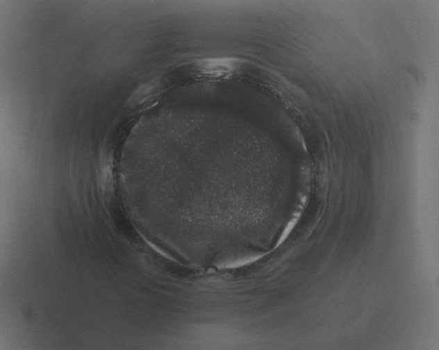 X0000116431394200912291859