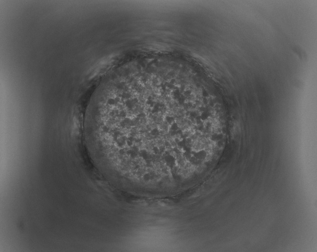 X0000116431397200912291859