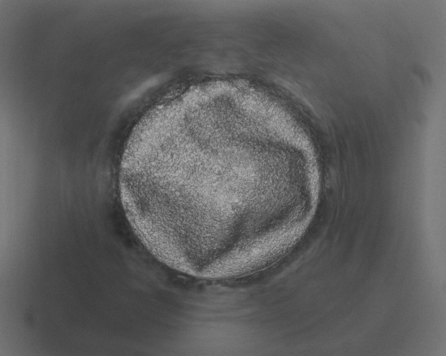 X0000116431398200912291859