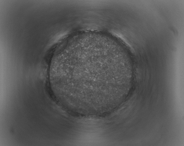 X0000116431399200912291859