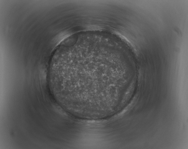 X0000116431401200912291859