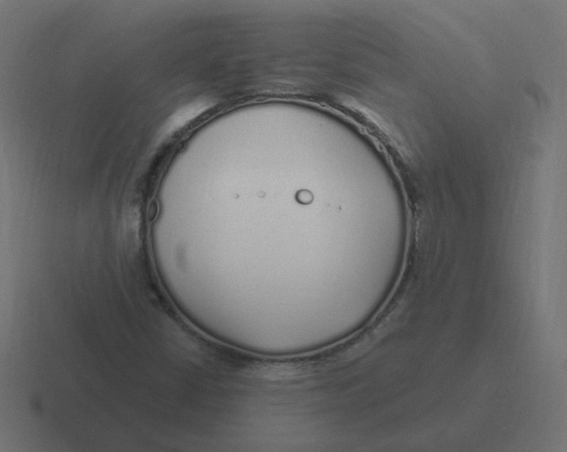 X0000116431402200912291859