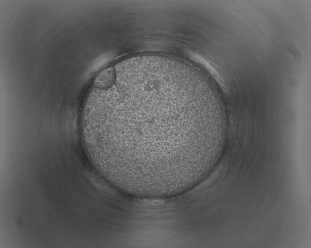 X0000116431403200912291859