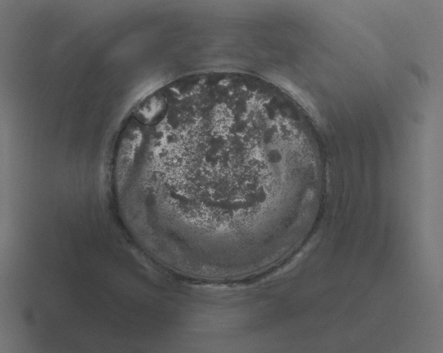 X0000116431405200912291859