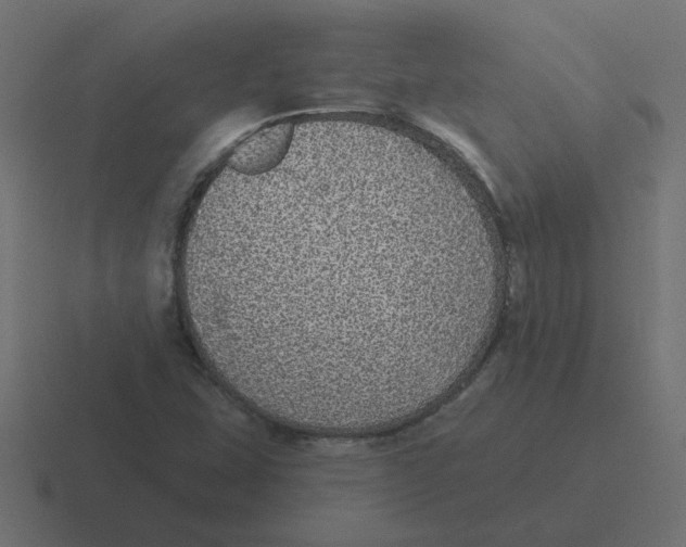 X0000116431407200912291859