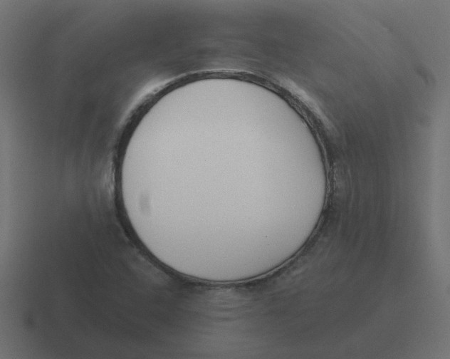 X0000116431408200912291859