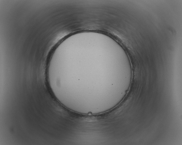 X0000116431410200912291859