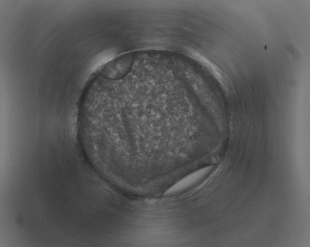 X0000116431411200912291859