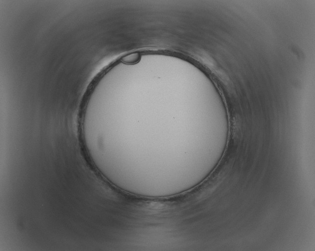 X0000116431412200912291859