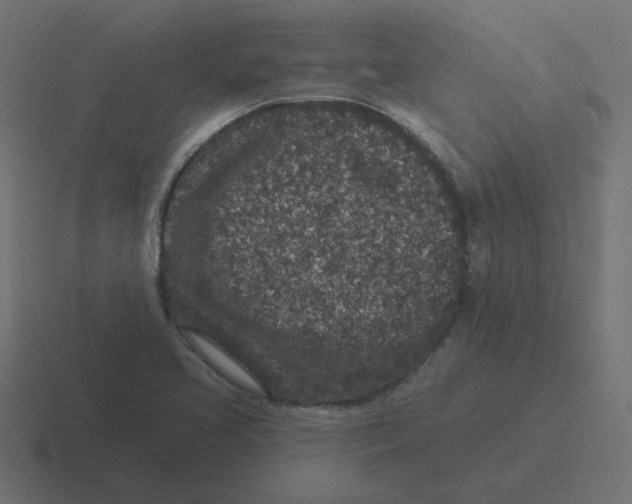 X0000116431413200912291859