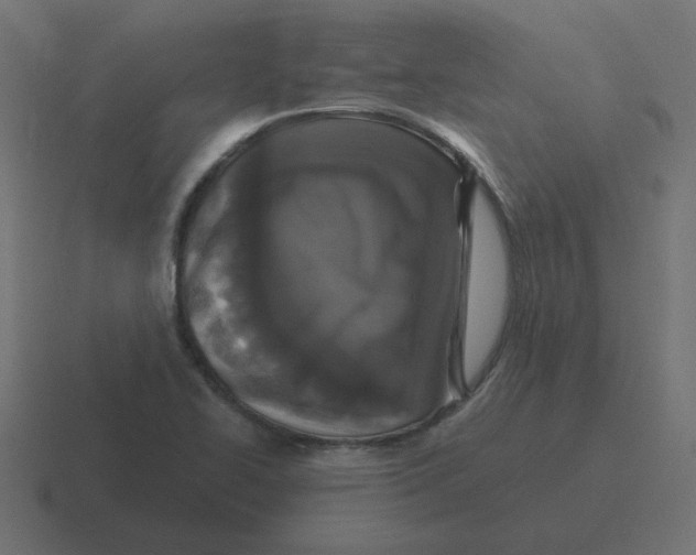 X0000116431414200912291859