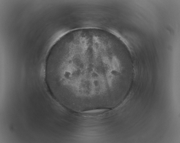 X0000116431415200912291859