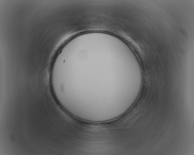 X0000116431416200912291859