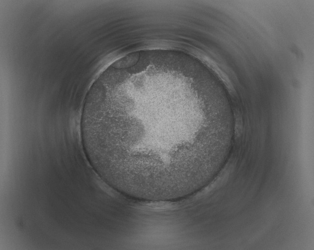 X0000116431417200912291859