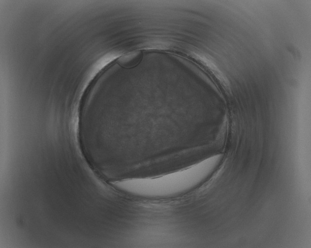 X0000116431418200912291859