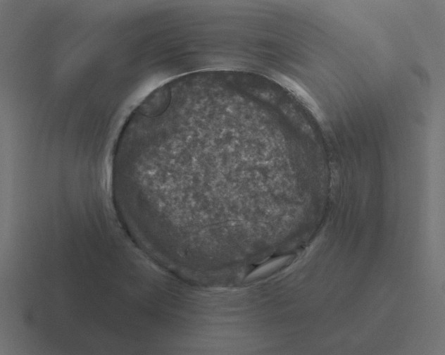 X0000116431419200912291859