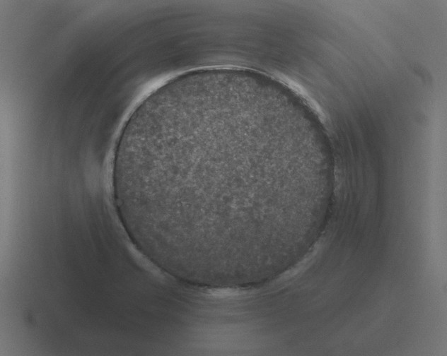 X0000116431421200912291859