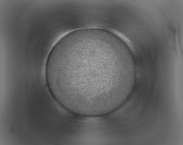 X0000116431423200912291859