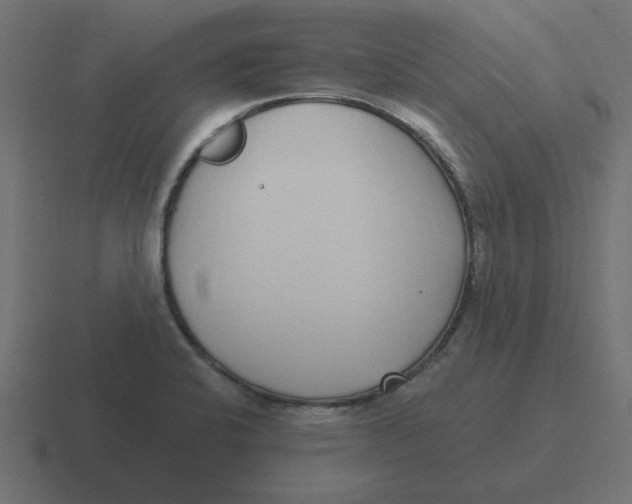 X0000116431424200912291859