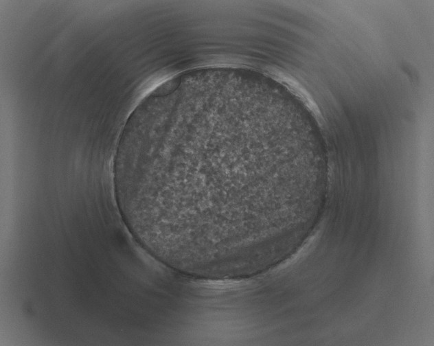 X0000116431425200912291859