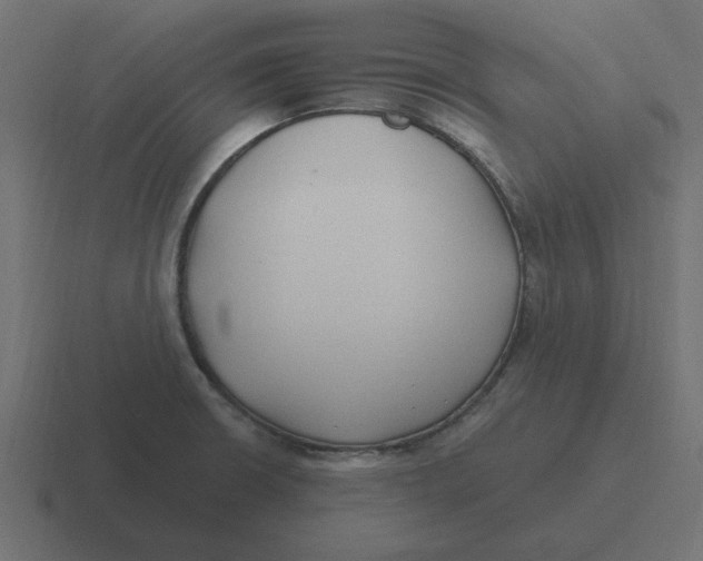 X0000116431426200912291859