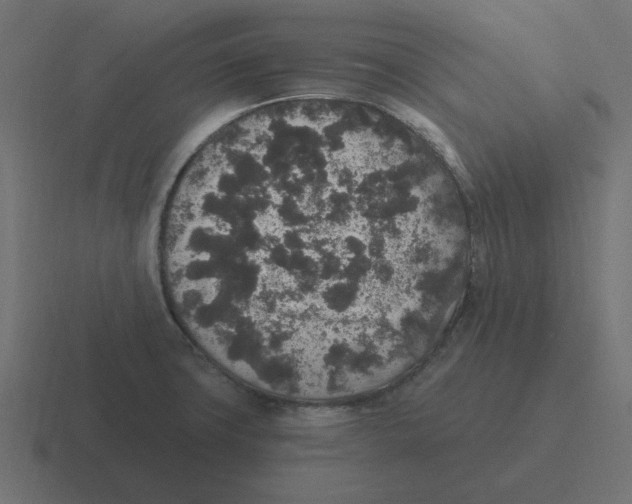 X0000116431427200912291859