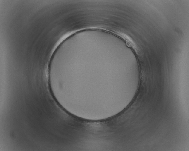 X0000116431428200912291859