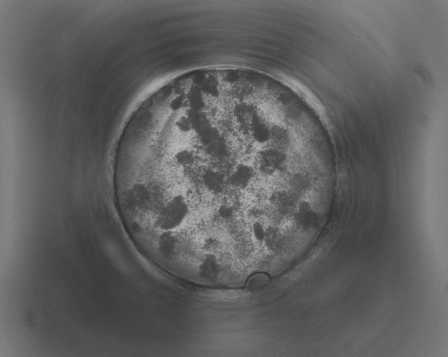 X0000116431429200912291859