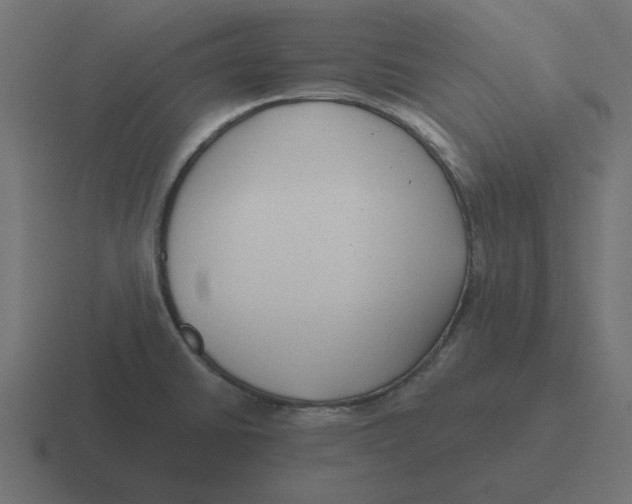 X0000116431430200912291859