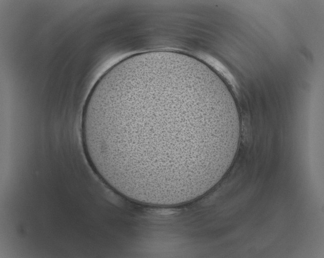 X0000116431431200912291859