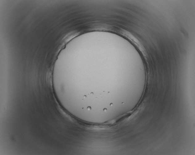 X0000116431433200912291859