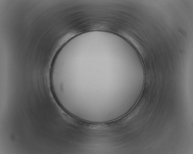 X0000116431434200912291859