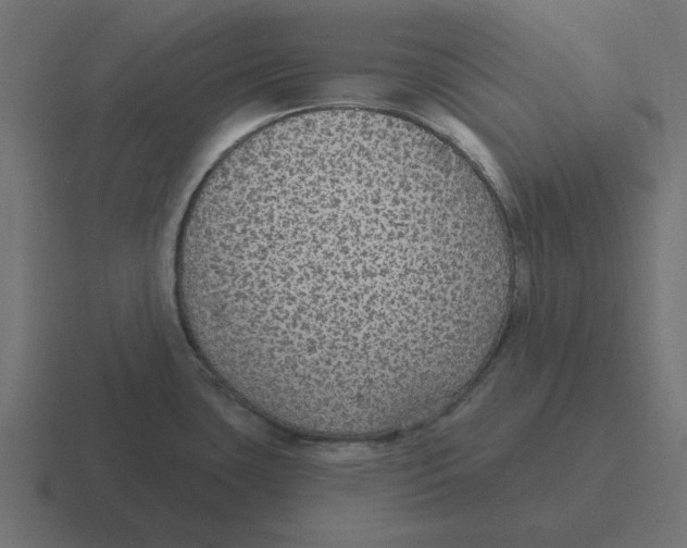 X0000116431435200912291859