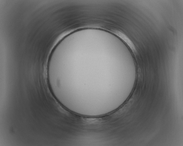 X0000116431436200912291859