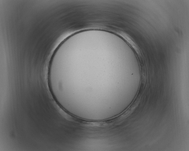 X0000116431438200912291900