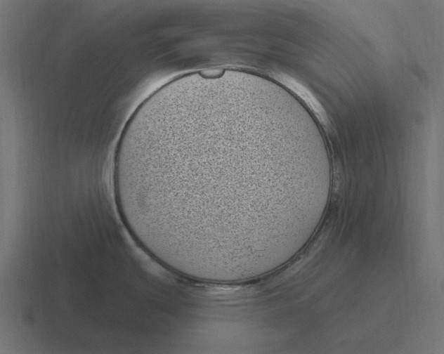 X0000116431439200912291900