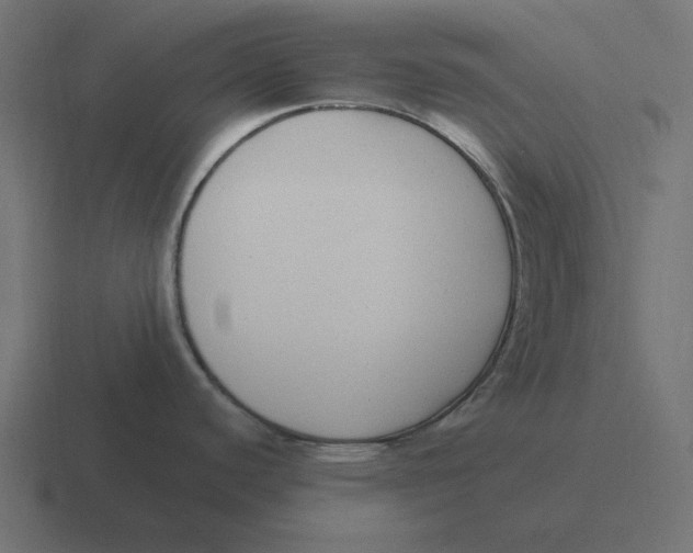 X0000116431440200912291900