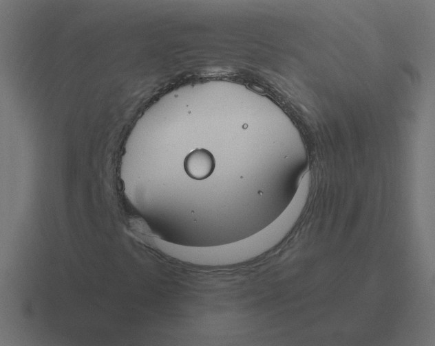 X0000116431441200912291859