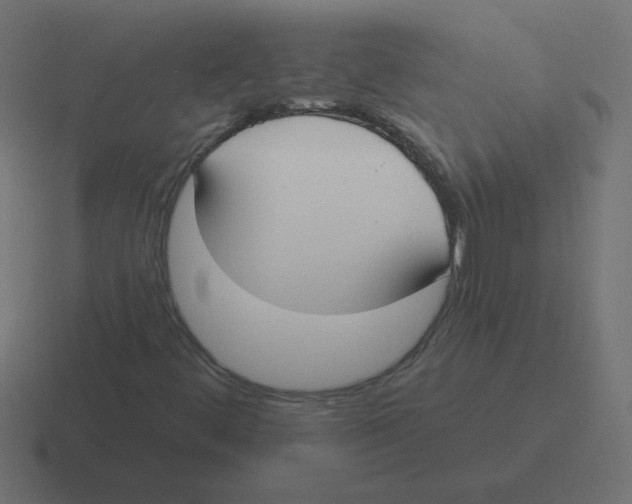 X0000116431444200912291859