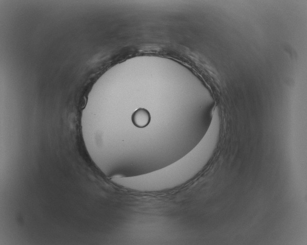 X0000116431445200912291859