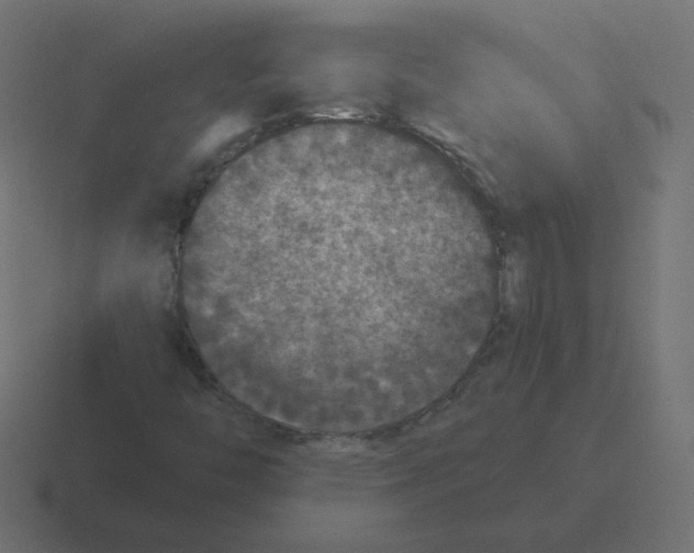 X0000116431446200912291859