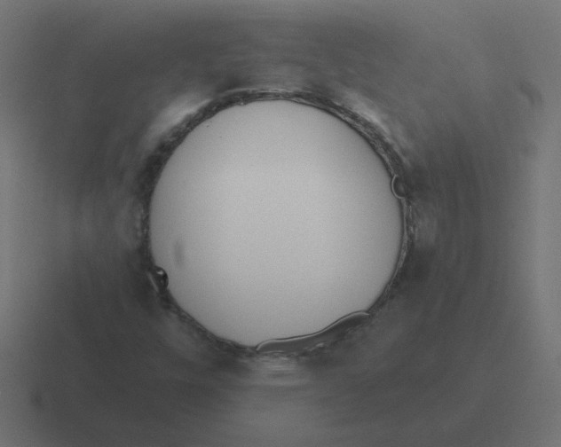 X0000116431448200912291859