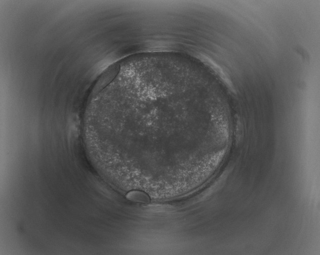 X0000116431449200912291859