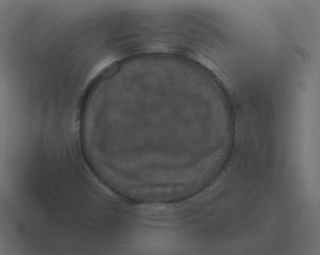 X0000116431450200912291859