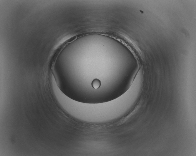 X0000116431453200912291859