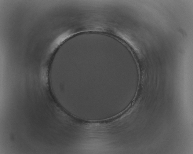 X0000116431455200912291859