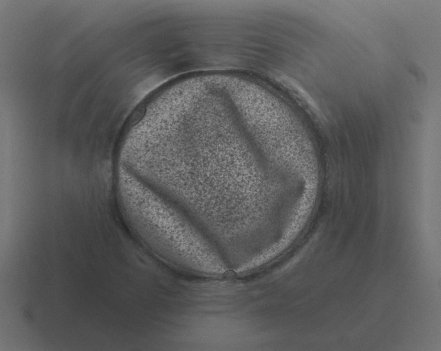 X0000116431457200912291859