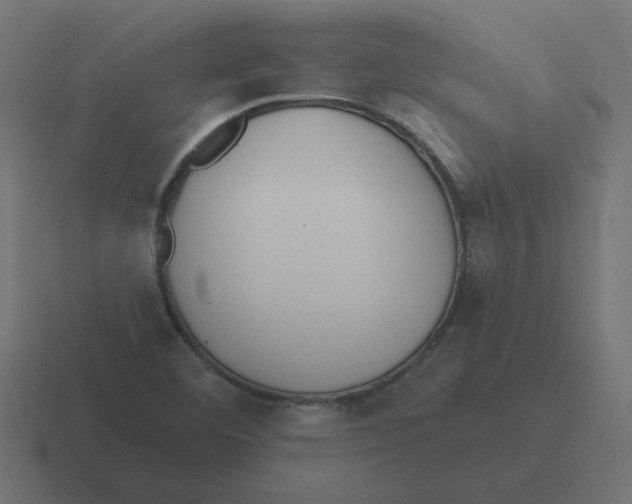 X0000116431460200912291859