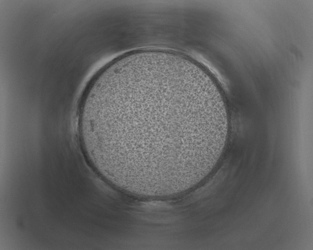 X0000116431462200912291859